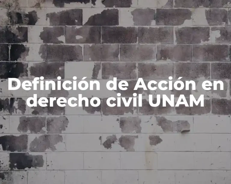 Definición de Acción en derecho civil UNAM