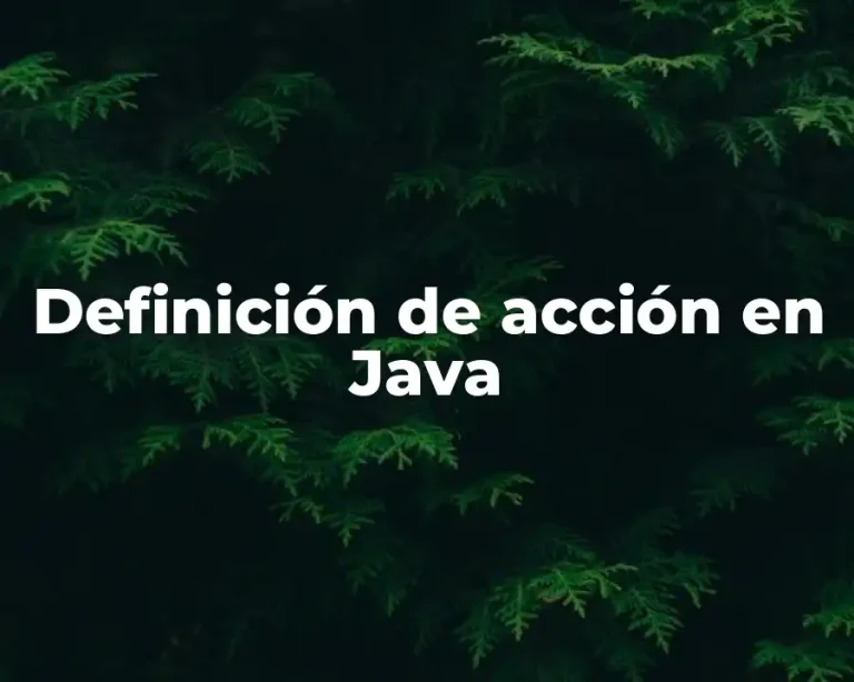 Definición de acción en Java