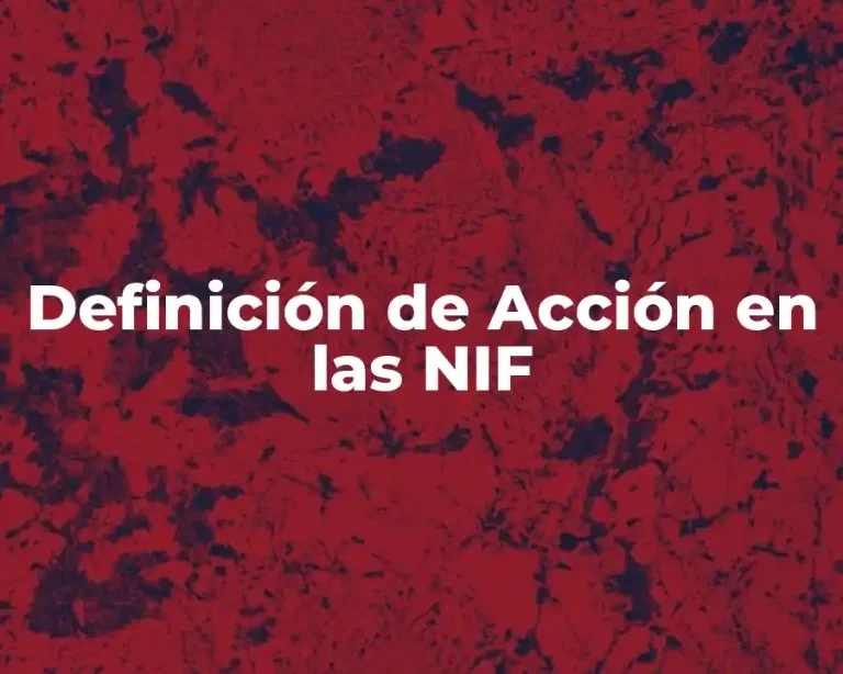 Definición de Acción en las NIF