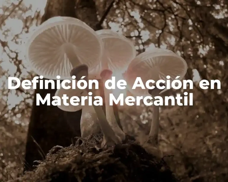 Definición de Acción en Materia Mercantil