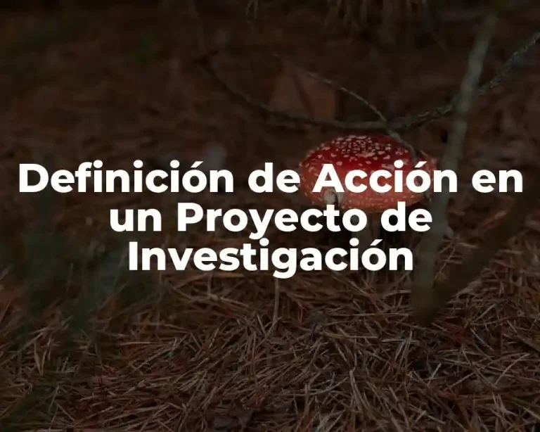 Definición de Acción en un Proyecto de Investigación