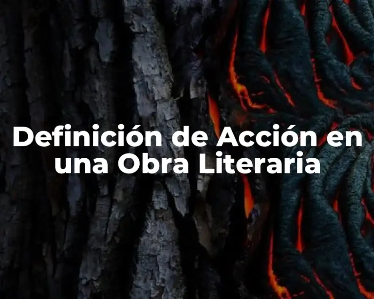 Definición de Acción en una Obra Literaria