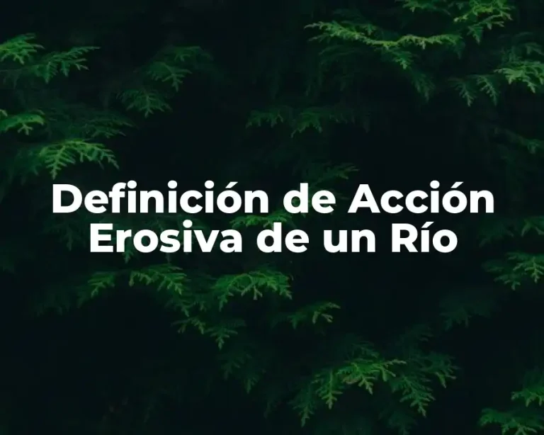 Definición de Acción Erosiva de un Río