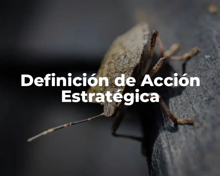 Definición de Acción Estratégica