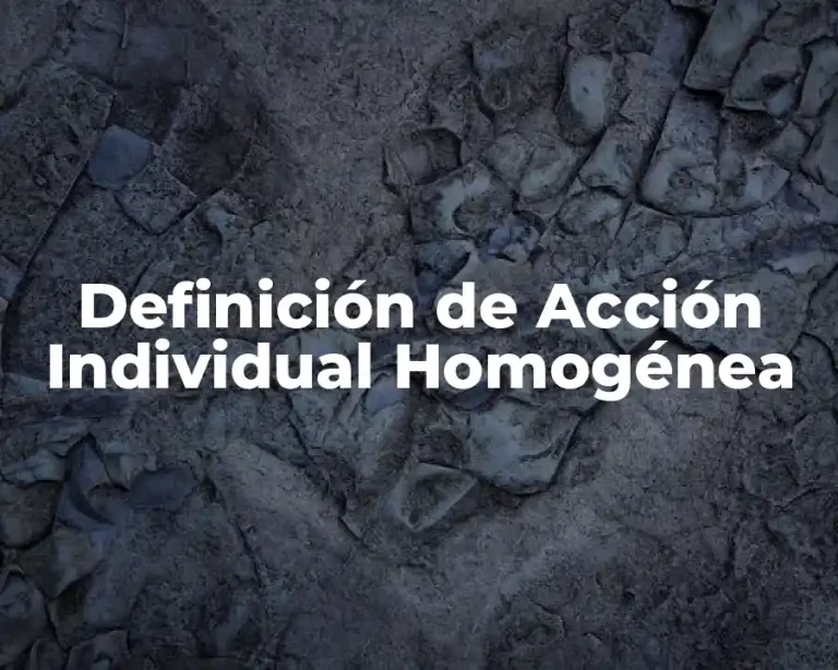 Definición de Acción Individual Homogénea
