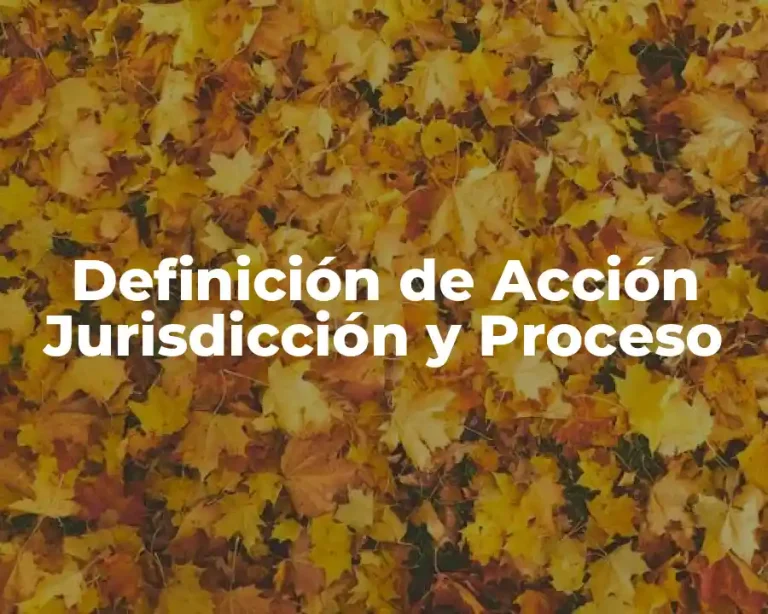 Definición de Acción Jurisdicción y Proceso