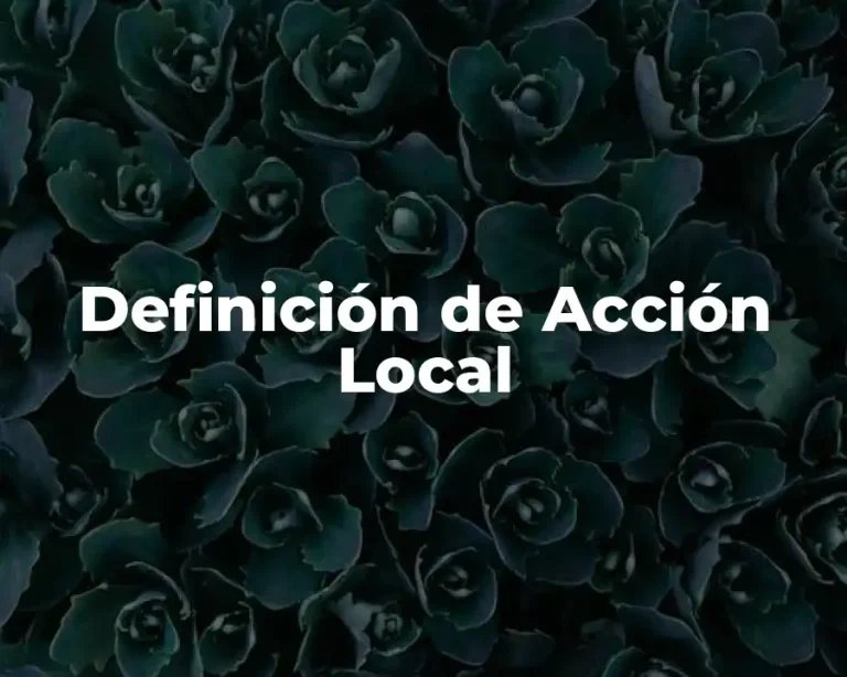 Definición de Acción Local