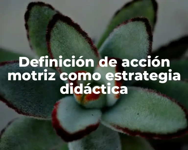 Definición de acción motriz como estrategia didáctica