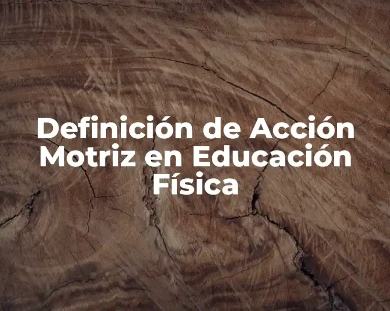 Definición de Acción Motriz en Educación Física