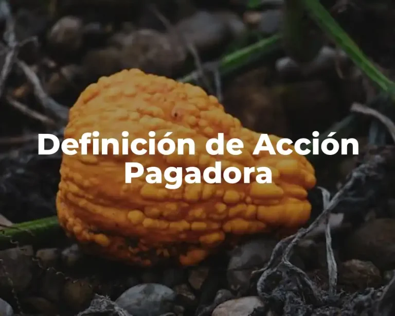 Definición de Acción Pagadora