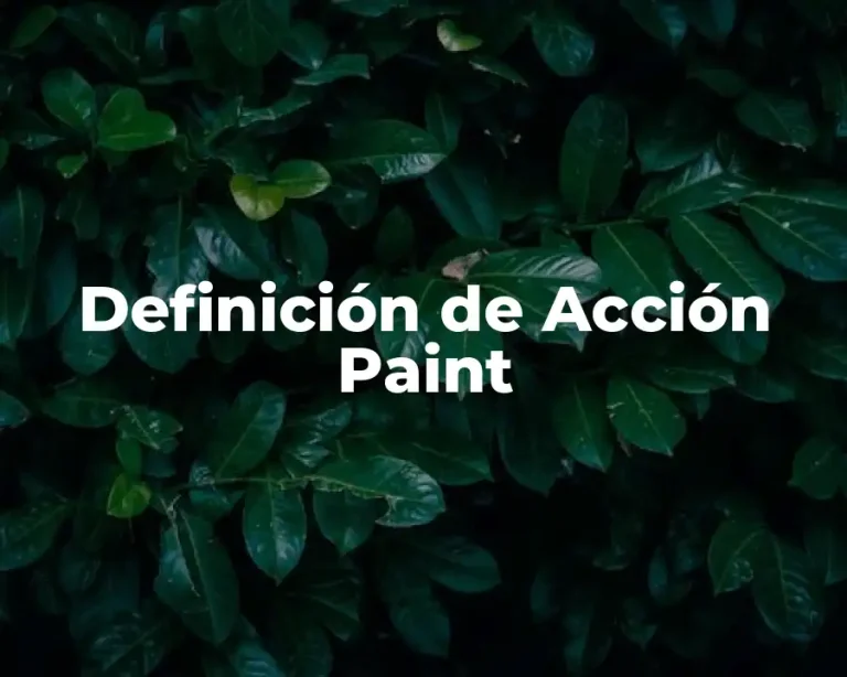 Definición de Acción Paint