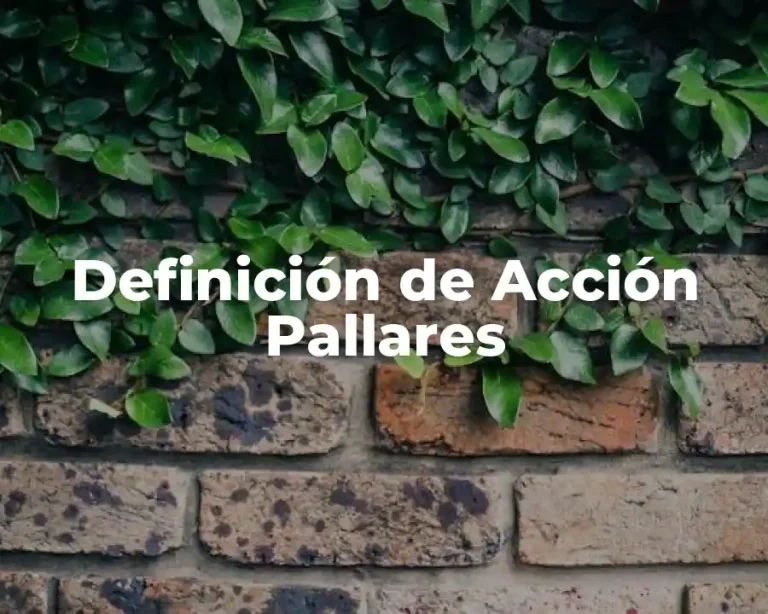 Definición de Acción Pallares