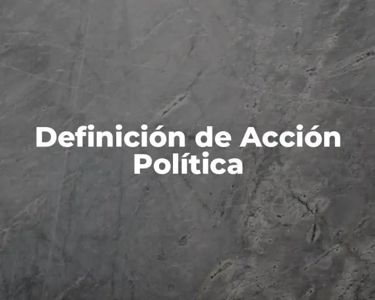 Definición de Acción Política
