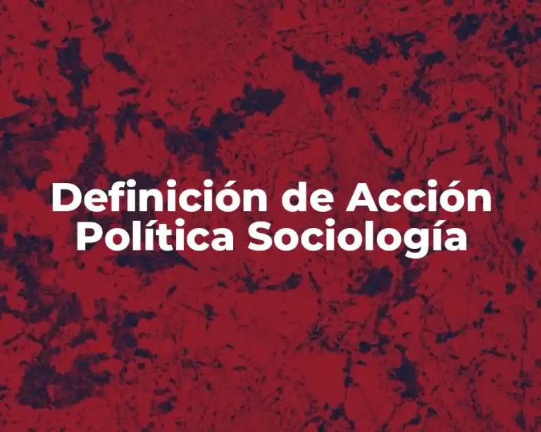Definición de Acción Política Sociología