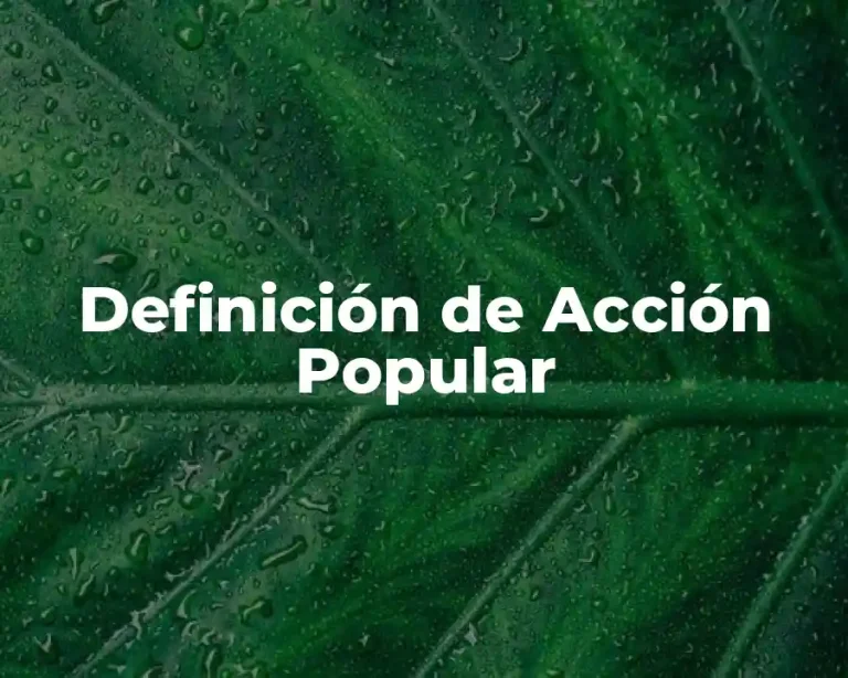 Definición de Acción Popular