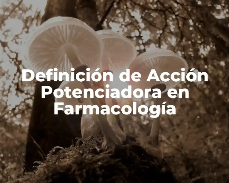 Definición de Acción Potenciadora en Farmacología