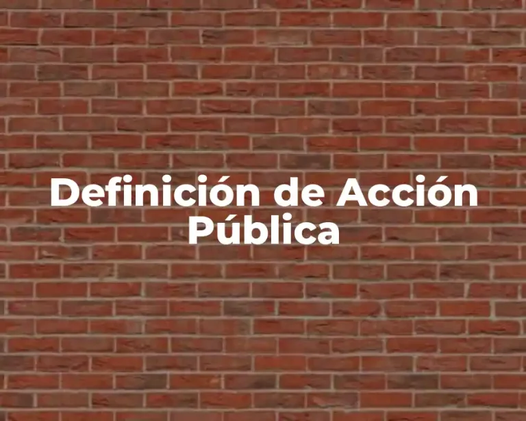 Definición de Acción Pública