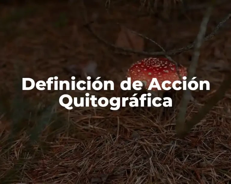 Definición de Acción Quitográfica