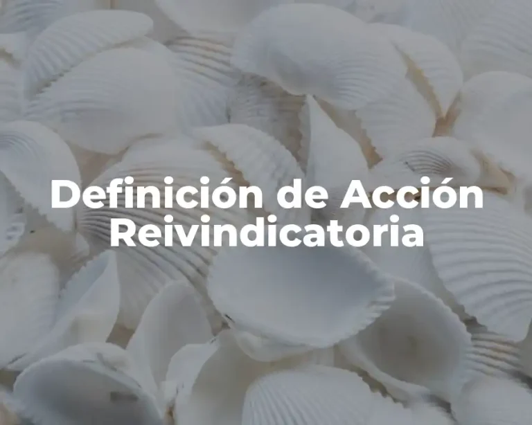 Definición de Acción Reivindicatoria