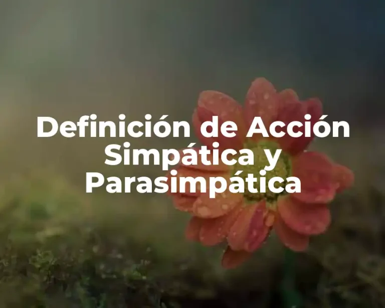 Definición de Acción Simpática y Parasimpática