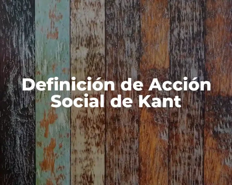 Definición de Acción Social de Kant