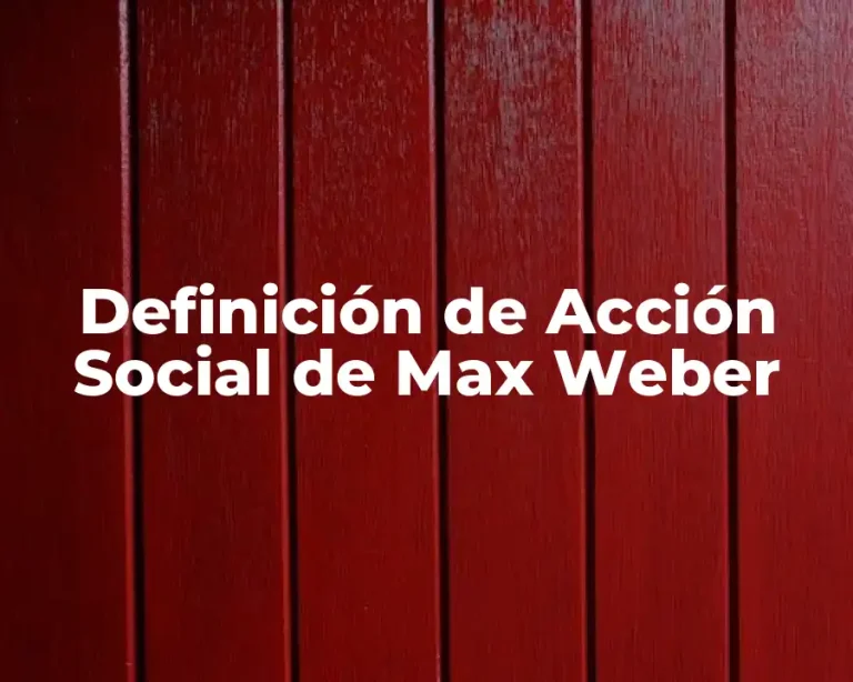 Definición de Acción Social de Max Weber