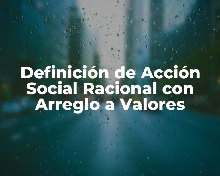 Definición de Acción Social Racional con Arreglo a Valores