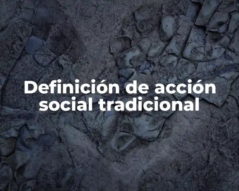 Definición de acción social tradicional