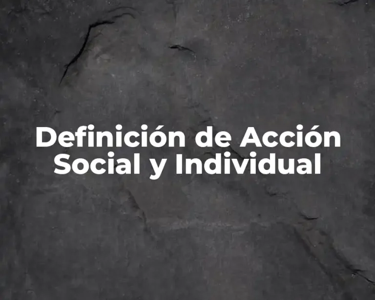 Definición de Acción Social y Individual