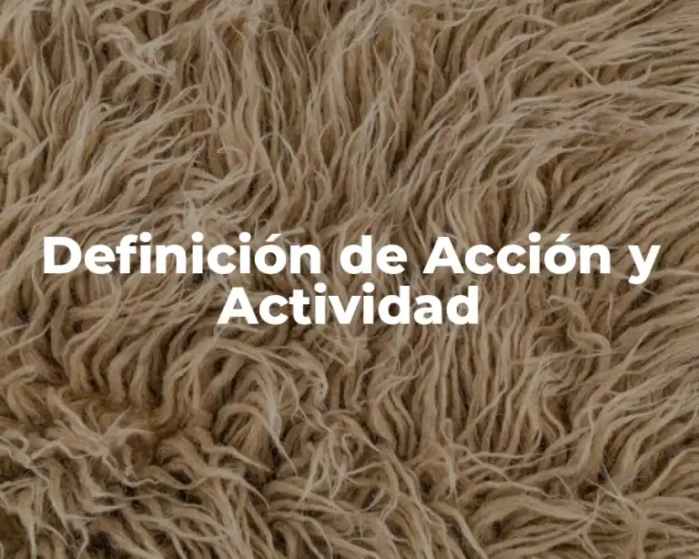 Definición de Acción y Actividad