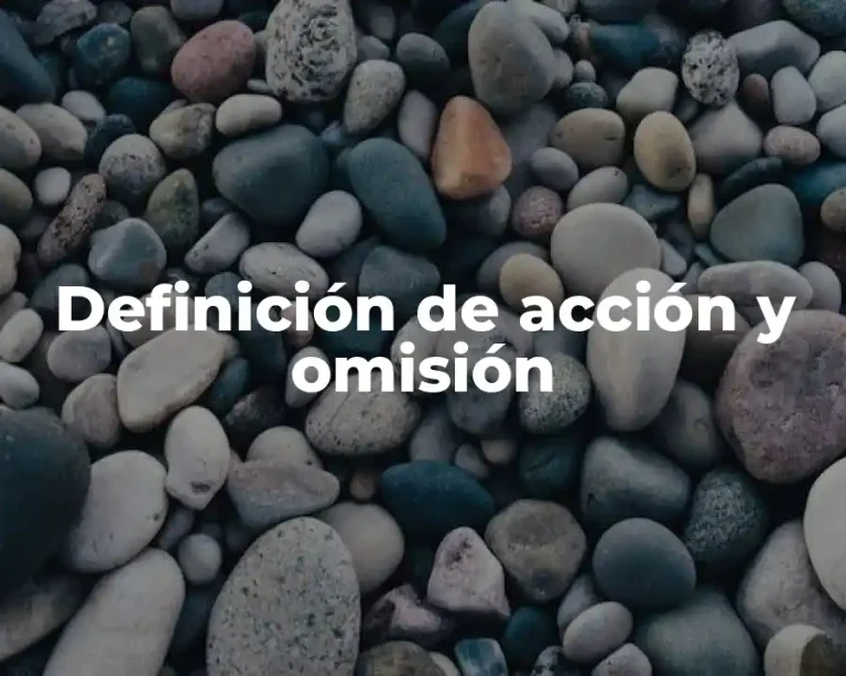 Definición de acción y omisión