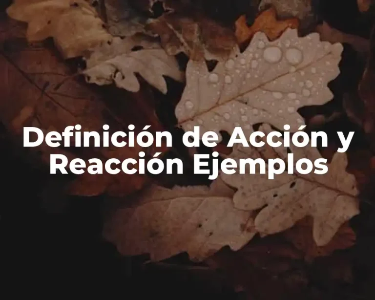 Definición de Acción y Reacción Ejemplos