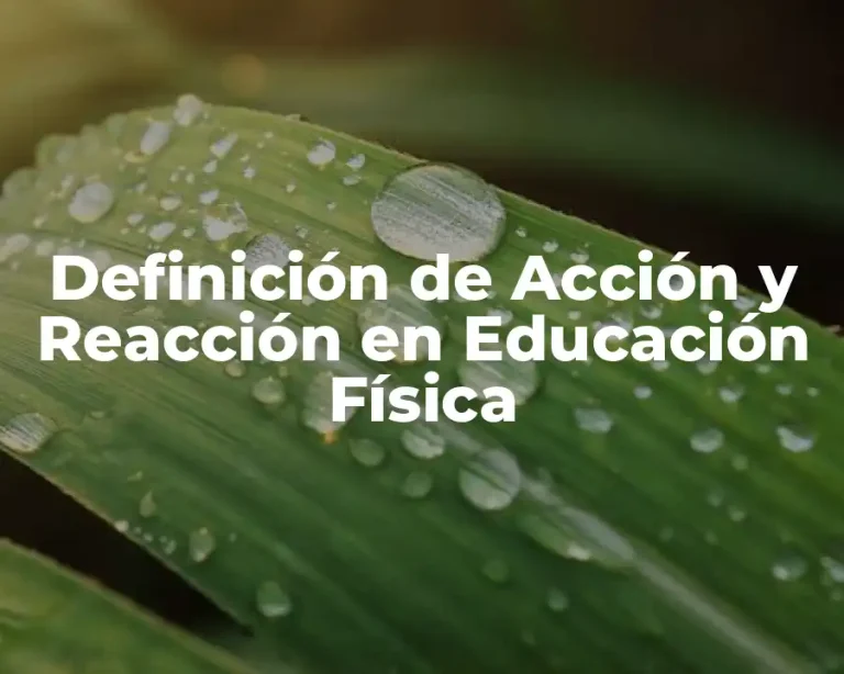 Definición de Acción y Reacción en Educación Física