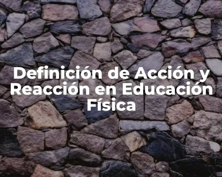 Definición de Acción y Reacción en Educación Física