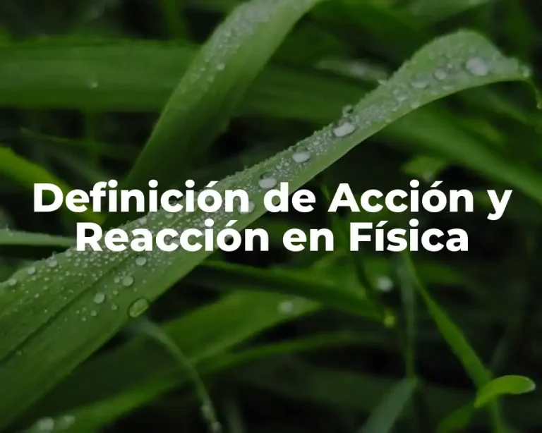 Definición de Acción y Reacción en Física