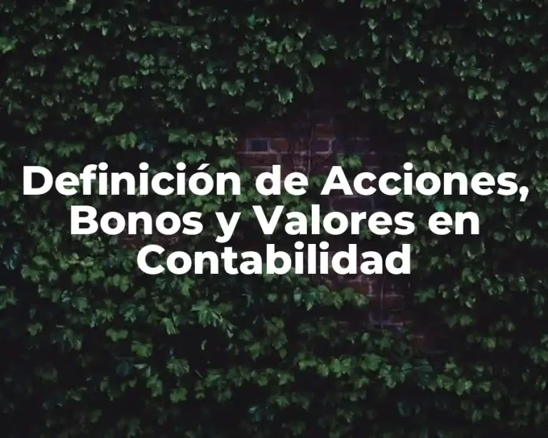 Definición de Acciones, Bonos y Valores en Contabilidad