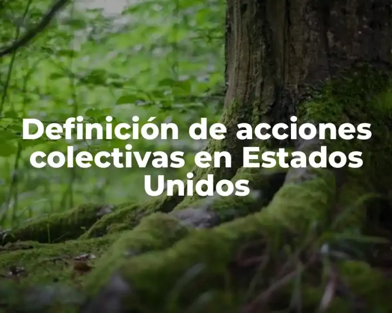 Definición de acciones colectivas en Estados Unidos