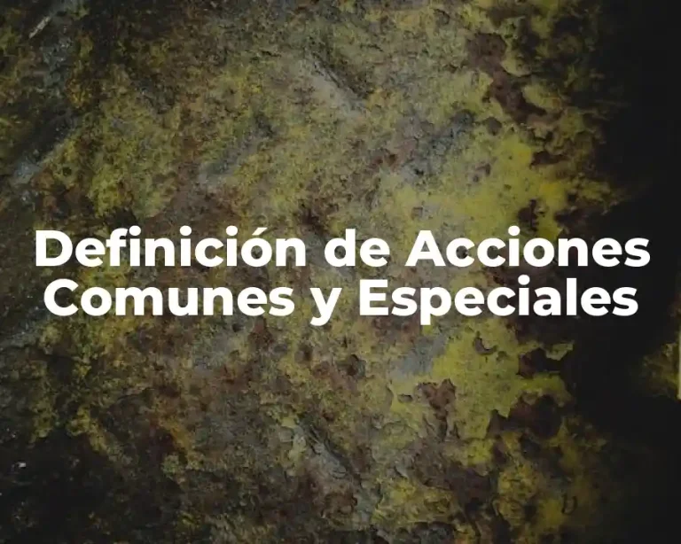 Definición de Acciones Comunes y Especiales