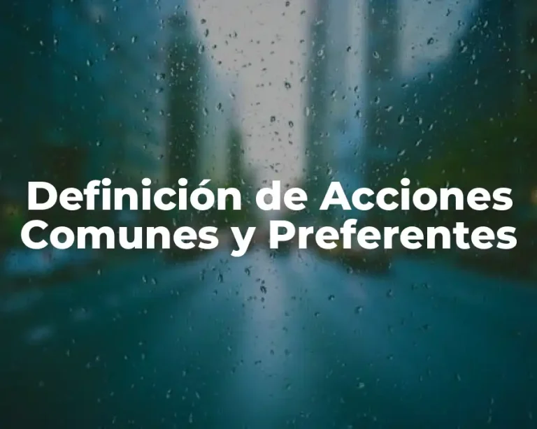 Definición de Acciones Comunes y Preferentes