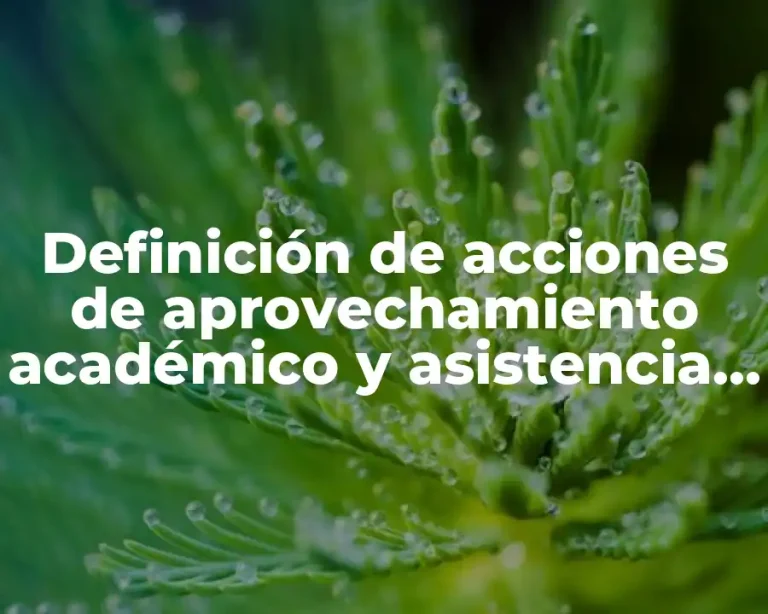 Definición de acciones de aprovechamiento académico y asistencia de los alumnos