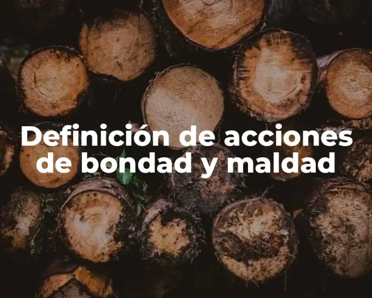 Definición de acciones de bondad y maldad