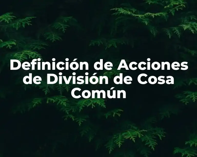 Definición de Acciones de División de Cosa Común