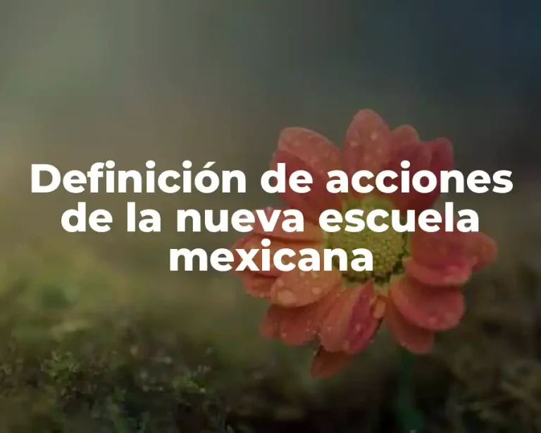 Definición de acciones de la nueva escuela mexicana