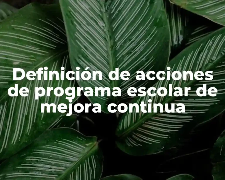 Definición de acciones de programa escolar de mejora continua