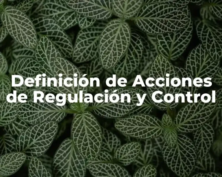 Definición de Acciones de Regulación y Control