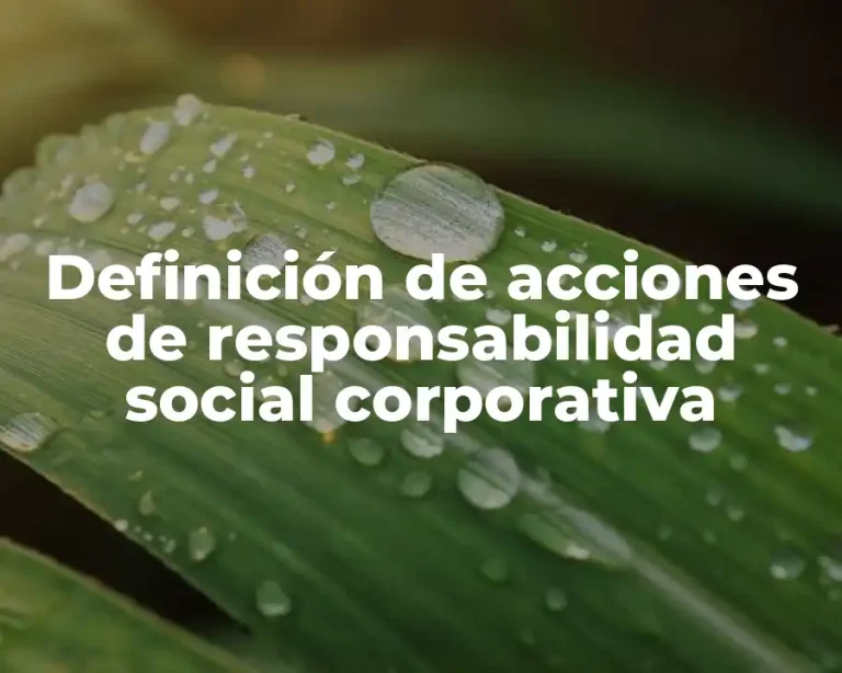 Definición de acciones de responsabilidad social corporativa