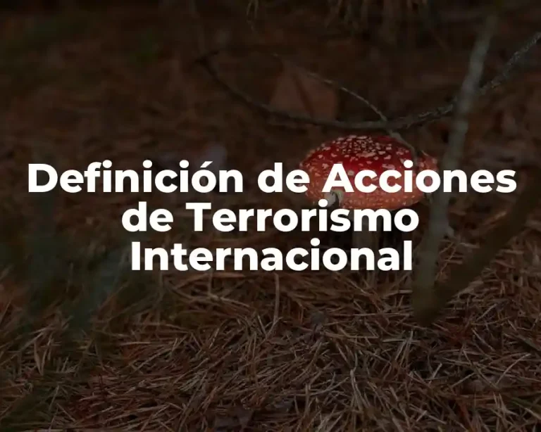 Definición de Acciones de Terrorismo Internacional