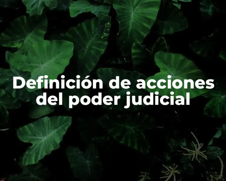 Definición de acciones del poder judicial