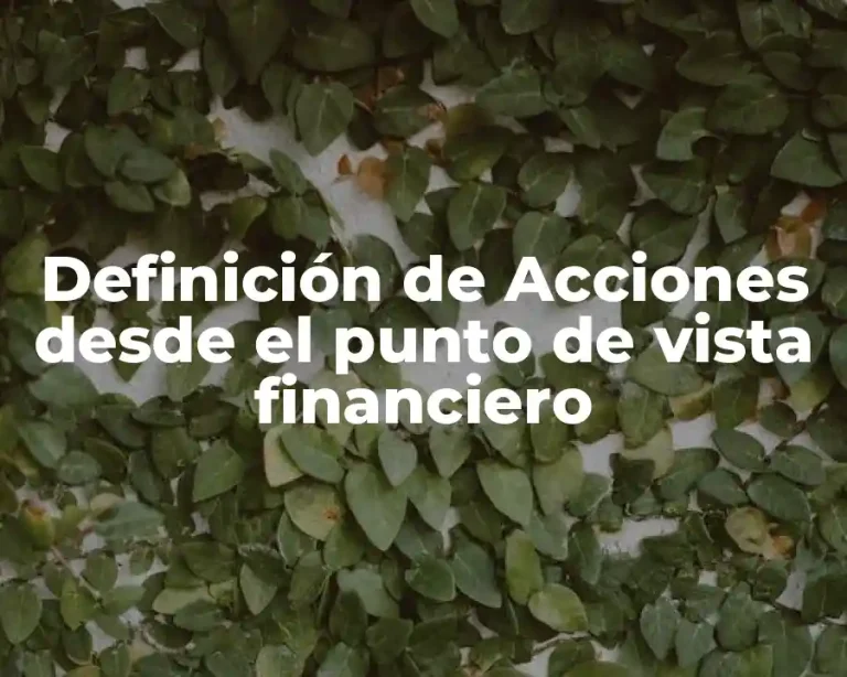 Definición de Acciones desde el punto de vista financiero