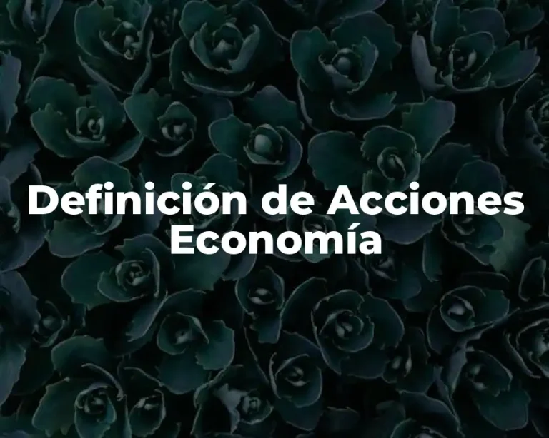 Definición de Acciones Economía